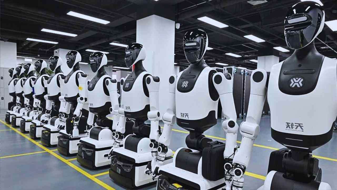 The-Council-of-Mosques